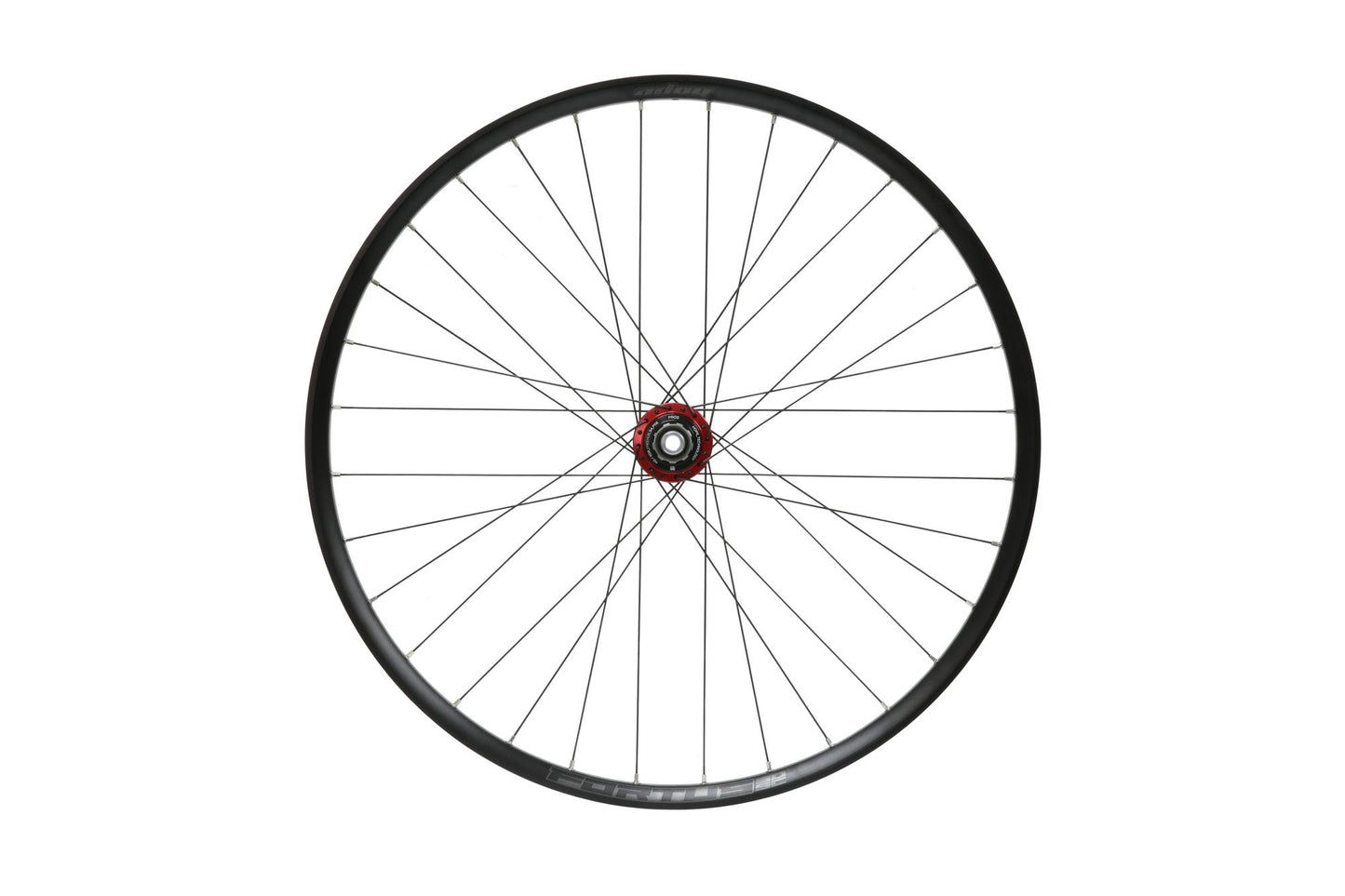 Hope Pro 5 DH Rear Wheel | Fortus 30SC | 6-Bolt-Rear Wheels-29-Red-HG Steel-BRINK