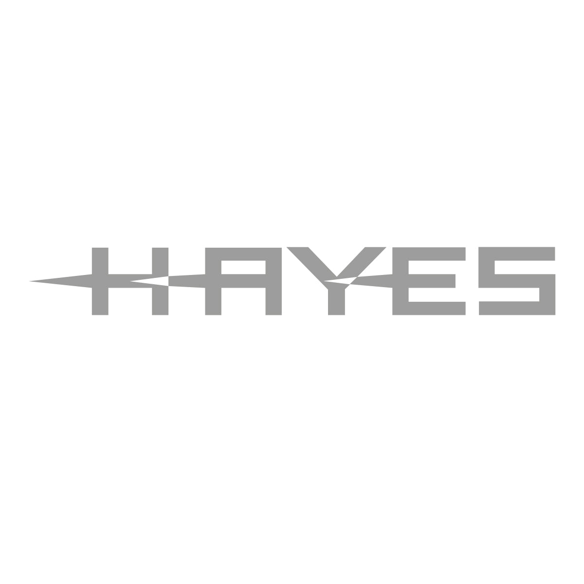 Hayes Ti Rotor Bolt Kit-BRINK