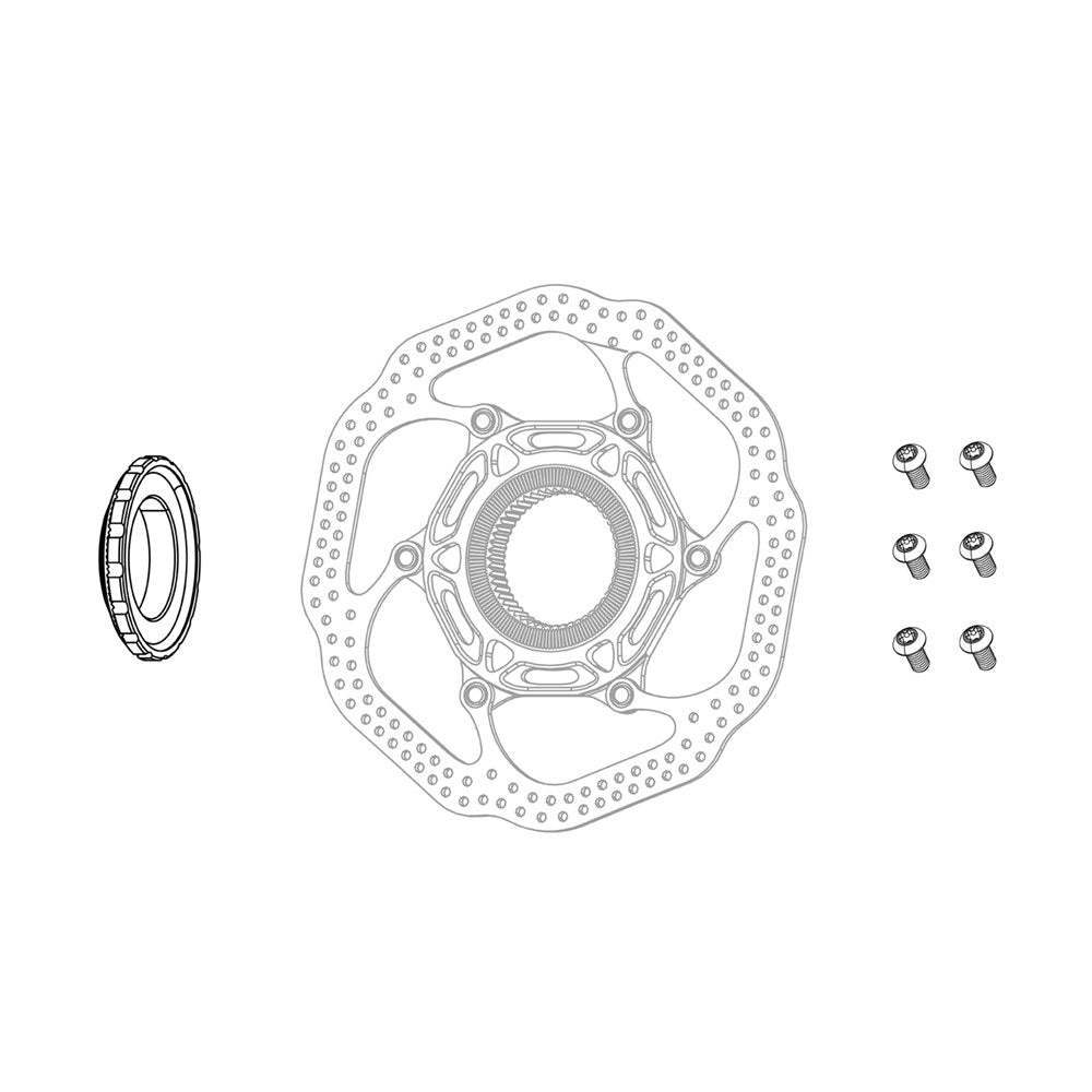 SRAM Steel Rotor Bolts-24 Pack-SIlver-BRINK